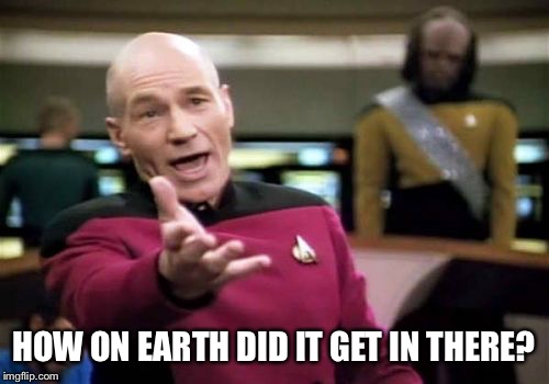 Picard Wtf Meme | HOW ON EARTH DID IT GET IN THERE? | image tagged in memes,picard wtf | made w/ Imgflip meme maker