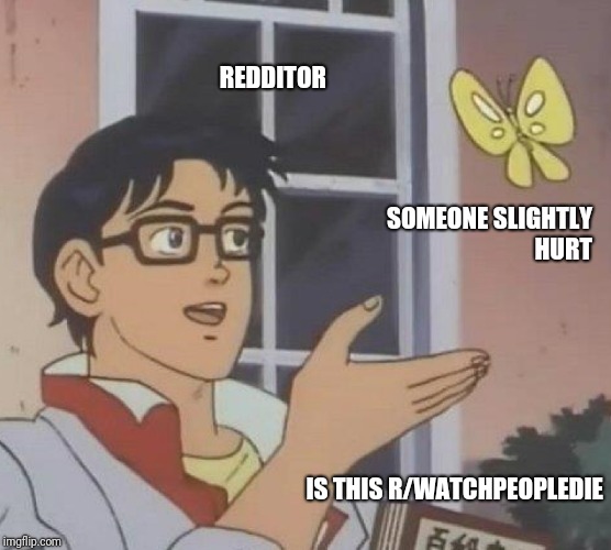 Is This A Pigeon Meme | REDDITOR; SOMEONE SLIGHTLY HURT; IS THIS R/WATCHPEOPLEDIE | image tagged in memes,is this a pigeon | made w/ Imgflip meme maker