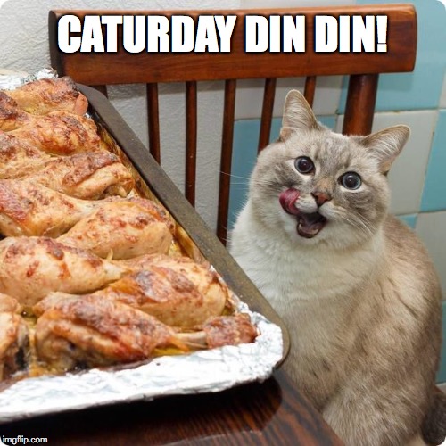 Kitty's Got Good Taste :-) | CATURDAY DIN DIN! | image tagged in chicken lover | made w/ Imgflip meme maker