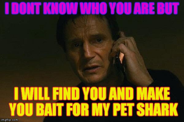 Liam neeson phone call | I DONT KNOW WHO YOU ARE BUT; I WILL FIND YOU AND MAKE YOU BAIT FOR MY PET SHARK | image tagged in liam neeson phone call | made w/ Imgflip meme maker