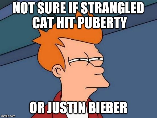 Futurama Fry Meme | NOT SURE IF STRANGLED CAT HIT PUBERTY; OR JUSTIN BIEBER | image tagged in memes,futurama fry | made w/ Imgflip meme maker