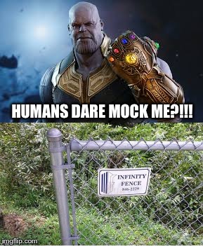 We're like that. | HUMANS DARE MOCK ME?!!! | image tagged in thanos,infinity war,fence,memes,funny | made w/ Imgflip meme maker