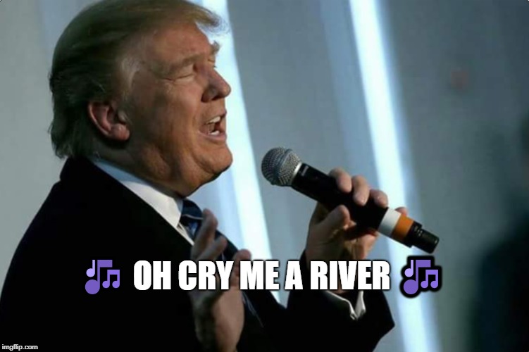 🎶 OH CRY ME A RIVER 🎶 | image tagged in president trump,king,maga | made w/ Imgflip meme maker