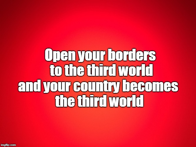 Red Background | Open your borders to the third world; and your country becomes the third world | image tagged in red background | made w/ Imgflip meme maker