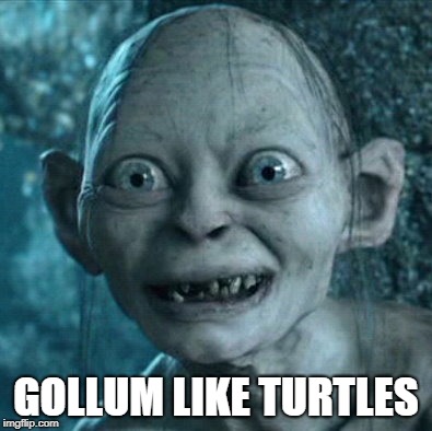 Gollum Meme | GOLLUM LIKE TURTLES | image tagged in memes,gollum | made w/ Imgflip meme maker