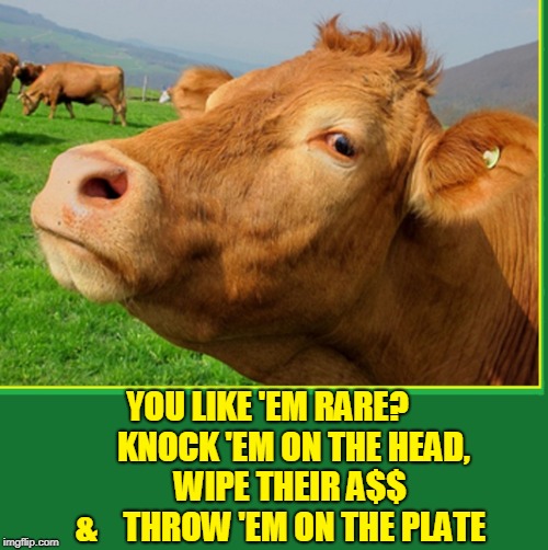 A Cow Discusses Preparation nof your Steak | YOU LIKE 'EM RARE?        KNOCK 'EM ON THE HEAD,      WIPE THEIR A$$   &    THROW 'EM ON THE PLATE | image tagged in vince vance and the valiants,vince vance,rare meat,rare steaks,talking cow,raw meat | made w/ Imgflip meme maker