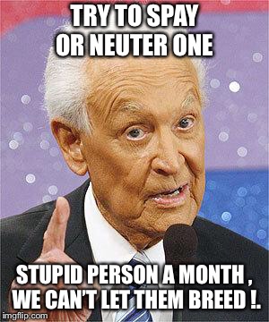 Bob Barker | TRY TO SPAY OR NEUTER ONE; STUPID PERSON A MONTH , WE CAN’T LET THEM BREED !. | image tagged in bob barker | made w/ Imgflip meme maker