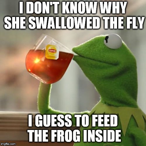 ....what a day...this is all that's on my brain creatively... | image tagged in kermit the frog,fly | made w/ Imgflip meme maker