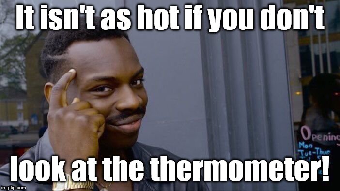 Roll Safe Think About It Meme | It isn't as hot if you don't look at the thermometer! | image tagged in memes,roll safe think about it | made w/ Imgflip meme maker