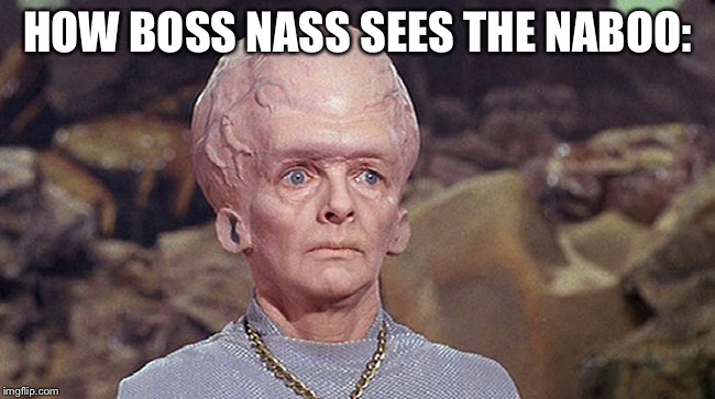 HOW BOSS NASS SEES THE NABOO: | image tagged in star wars | made w/ Imgflip meme maker