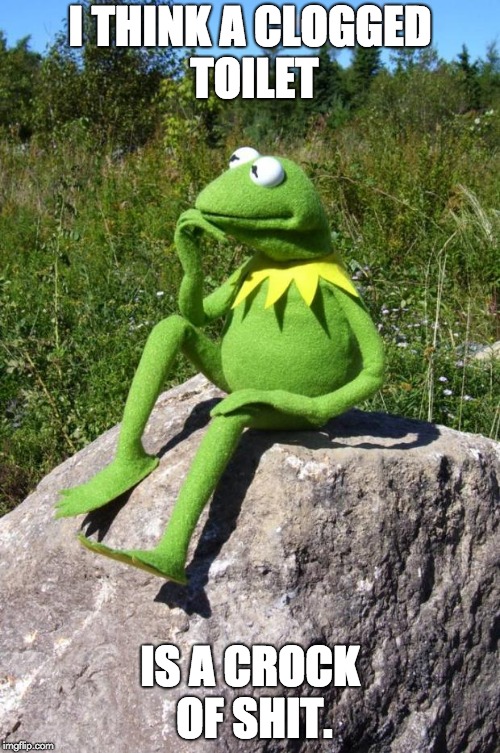 Kermit-thinking | I THINK A CLOGGED TOILET; IS A CROCK OF SHIT. | image tagged in kermit-thinking | made w/ Imgflip meme maker