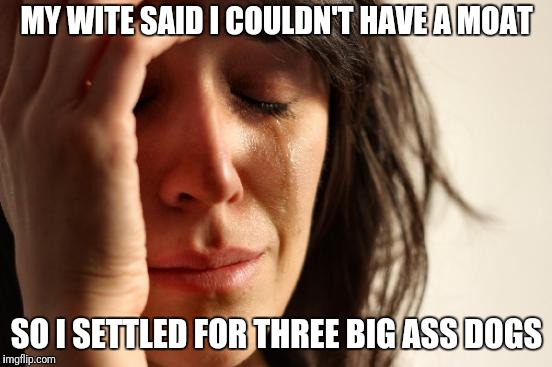 First World Problems Meme | MY WITE SAID I COULDN'T HAVE A MOAT SO I SETTLED FOR THREE BIG ASS DOGS | image tagged in memes,first world problems | made w/ Imgflip meme maker