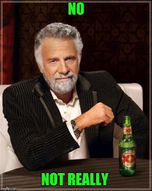 The Most Interesting Man In The World Meme | NO NOT REALLY | image tagged in memes,the most interesting man in the world | made w/ Imgflip meme maker