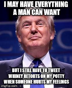 Donald Trump smug | I MAY HAVE EVERYTHING A MAN CAN WANT BUT I STILL HAVE TO TWEET WHINEY RETORTS ON MY POTTY WHEN SOMEONE HURTS MY FEELINGS | image tagged in donald trump smug | made w/ Imgflip meme maker