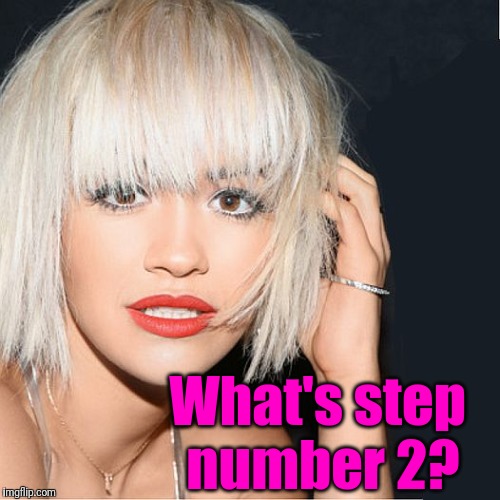 ditz | What's step number 2? | image tagged in ditz | made w/ Imgflip meme maker