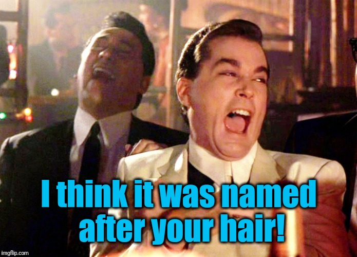 Good Fellas Hilarious Meme | I think it was named after your hair! | image tagged in memes,good fellas hilarious | made w/ Imgflip meme maker