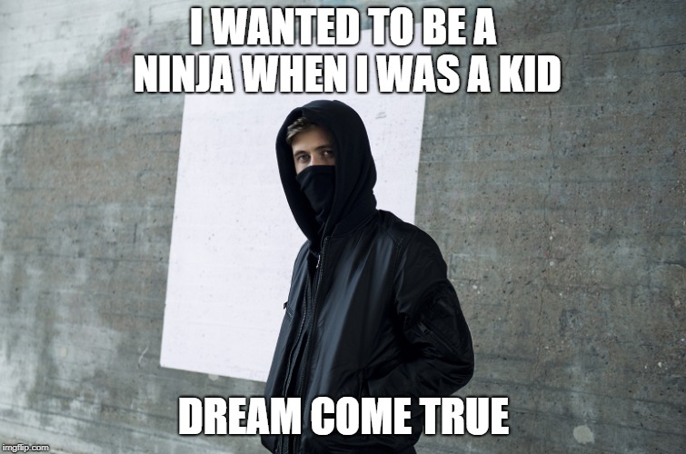 Alan Walker | I WANTED TO BE A NINJA WHEN I WAS A KID; DREAM COME TRUE | image tagged in alan walker | made w/ Imgflip meme maker