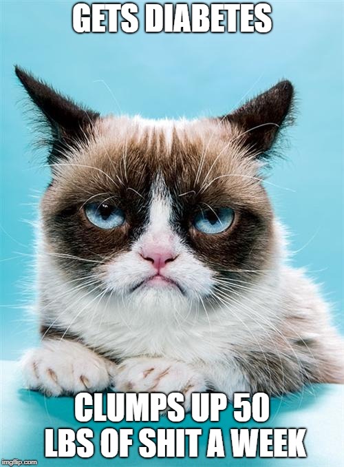 Grumpy Cat | GETS DIABETES; CLUMPS UP 50 LBS OF SHIT A WEEK | image tagged in grumpy cat | made w/ Imgflip meme maker