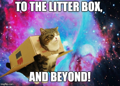 Cat, look! A mouse! | TO THE LITTER BOX, AND BEYOND! | image tagged in space cat with box,cats,airplane cat,memes,ilikepie314159265358979 | made w/ Imgflip meme maker