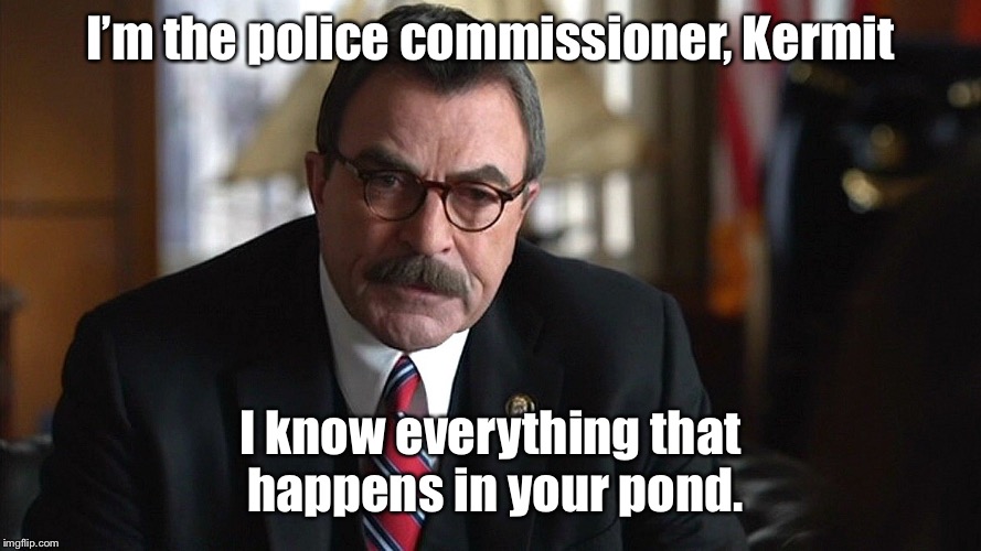 I’m the police commissioner, Kermit I know everything that happens in your pond. | made w/ Imgflip meme maker