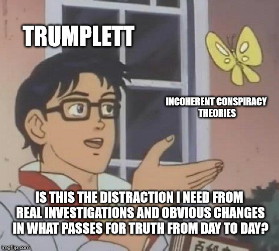 Is This A Pigeon Meme | TRUMPLETT INCOHERENT CONSPIRACY THEORIES IS THIS THE DISTRACTION I NEED FROM REAL INVESTIGATIONS AND OBVIOUS CHANGES IN WHAT PASSES FOR TRUT | image tagged in memes,is this a pigeon | made w/ Imgflip meme maker