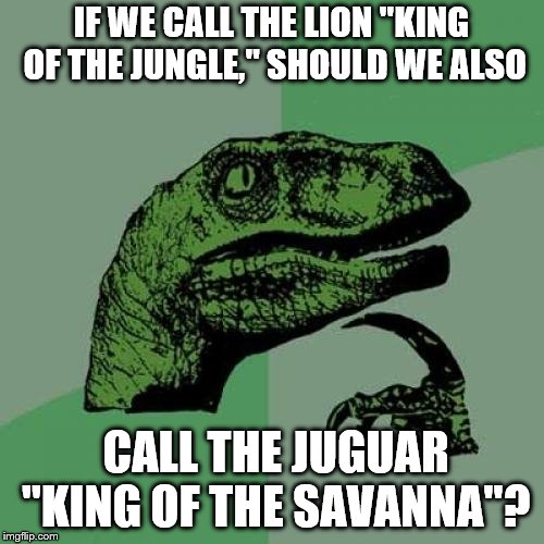 Philosoraptor Meme | IF WE CALL THE LION "KING OF THE JUNGLE," SHOULD WE ALSO; CALL THE JUGUAR "KING OF THE SAVANNA"? | image tagged in memes,philosoraptor | made w/ Imgflip meme maker