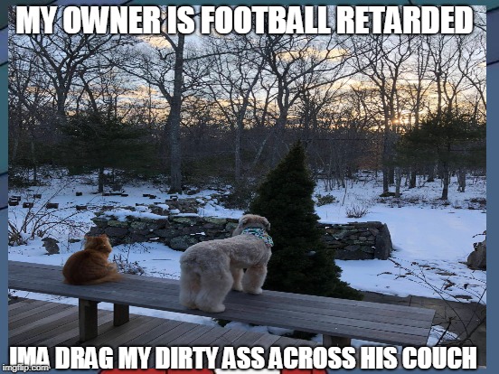 Uri-stunna | MY OWNER IS FOOTBALL RETARDED; IMA DRAG MY DIRTY ASS ACROSS HIS COUCH | image tagged in dog,cat | made w/ Imgflip meme maker