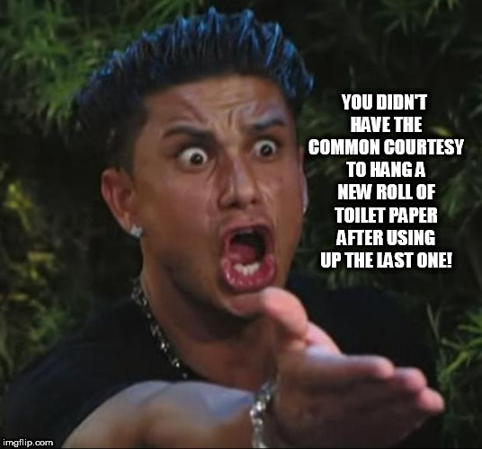 DJ Pauly D Meme | YOU DIDN'T HAVE THE COMMON COURTESY TO HANG A NEW ROLL OF TOILET PAPER AFTER USING UP THE LAST ONE! | image tagged in memes,dj pauly d | made w/ Imgflip meme maker
