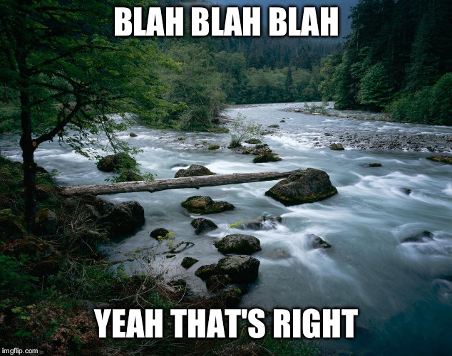 river | BLAH BLAH BLAH; YEAH THAT'S RIGHT | image tagged in nature,meme,inspirational quote,sarcasm,pretty,funny memes | made w/ Imgflip meme maker