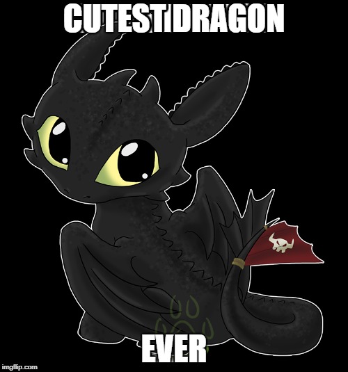 cutest dragon ever | CUTEST DRAGON; EVER | image tagged in how to train your dragon,toothless,cute | made w/ Imgflip meme maker