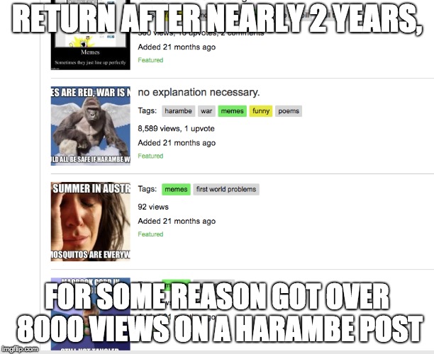 ok wow | RETURN AFTER NEARLY 2 YEARS, FOR SOME REASON GOT OVER 8000 VIEWS ON A HARAMBE POST | image tagged in memes,time,fortnite | made w/ Imgflip meme maker