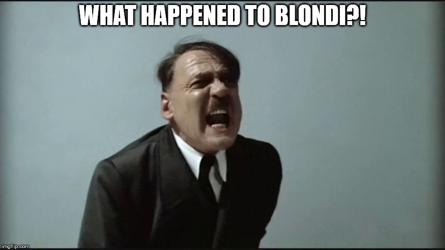 Fegelein! | WHAT HAPPENED TO BLONDI?! | image tagged in fegelein | made w/ Imgflip meme maker