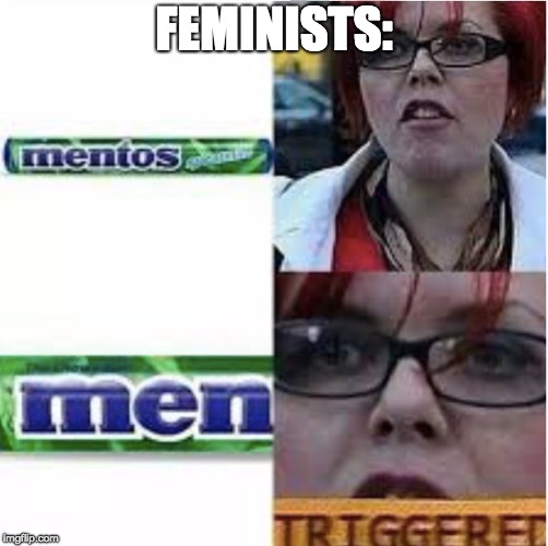 Triggered Feminist | FEMINISTS: | image tagged in memes,feminism,feminist,angry feminist,triggered feminist | made w/ Imgflip meme maker