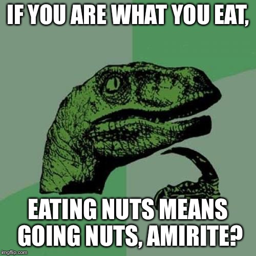 Philosoraptor Meme | IF YOU ARE WHAT YOU EAT, EATING NUTS MEANS GOING NUTS, AMIRITE? | image tagged in memes,philosoraptor | made w/ Imgflip meme maker
