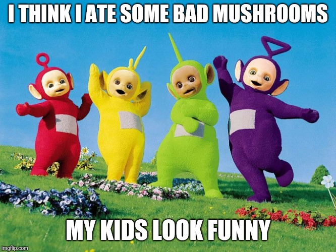 I THINK I ATE SOME BAD MUSHROOMS; MY KIDS LOOK FUNNY | made w/ Imgflip meme maker