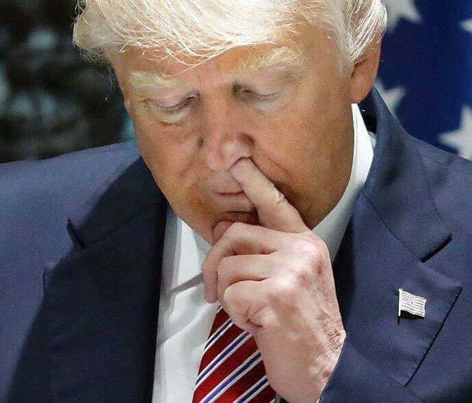 High Quality Trump picks nose Blank Meme Template