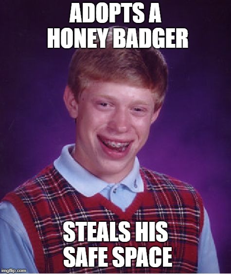 Bad Luck Brian Meme | ADOPTS A HONEY BADGER STEALS HIS SAFE SPACE | image tagged in memes,bad luck brian | made w/ Imgflip meme maker