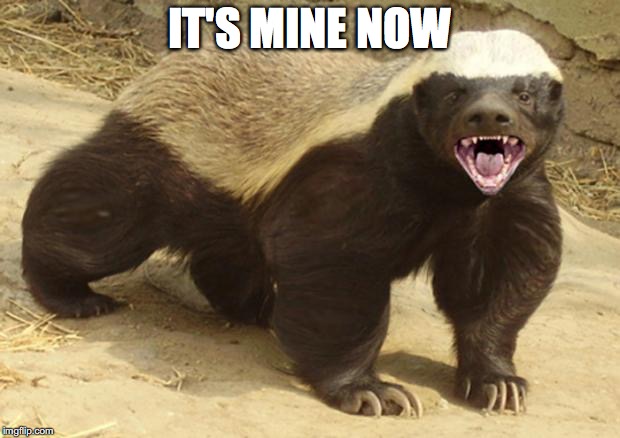 Honey badger | IT'S MINE NOW | image tagged in honey badger | made w/ Imgflip meme maker