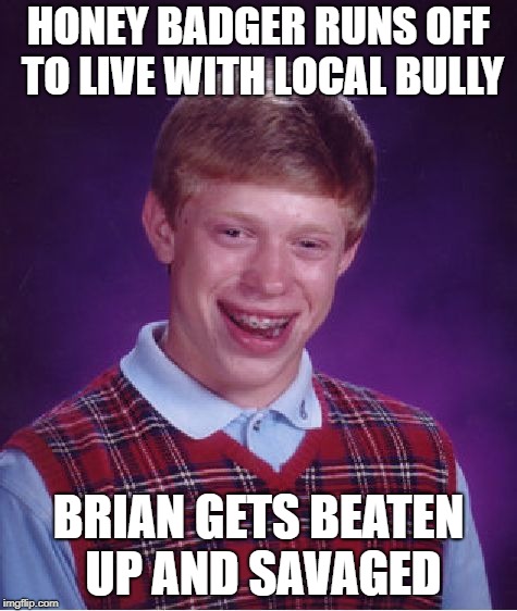 Bad Luck Brian Meme | HONEY BADGER RUNS OFF TO LIVE WITH LOCAL BULLY BRIAN GETS BEATEN UP AND SAVAGED | image tagged in memes,bad luck brian | made w/ Imgflip meme maker