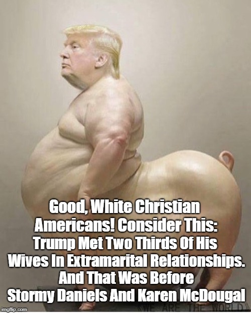 Good, White Christian Americans! Consider This: Trump Met Two Thirds Of His Wives In Extramarital Relationships. And That Was Before Stormy  | made w/ Imgflip meme maker