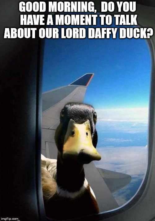 Duck on an airplane. | GOOD MORNING, 
DO YOU HAVE A MOMENT TO TALK ABOUT OUR LORD DAFFY DUCK? | image tagged in duck | made w/ Imgflip meme maker
