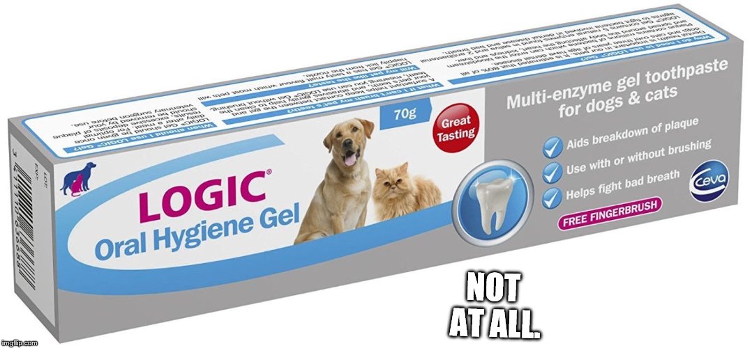 NOT AT ALL. | made w/ Imgflip meme maker