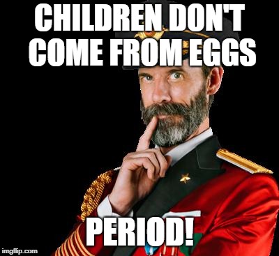 captain obvious | CHILDREN DON'T COME FROM EGGS PERIOD! | image tagged in captain obvious | made w/ Imgflip meme maker