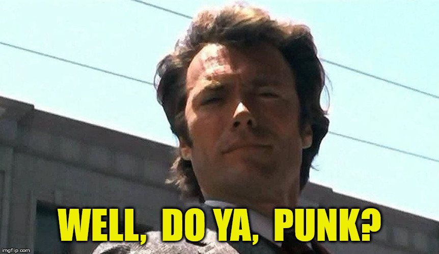 WELL,  DO YA,  PUNK? | made w/ Imgflip meme maker