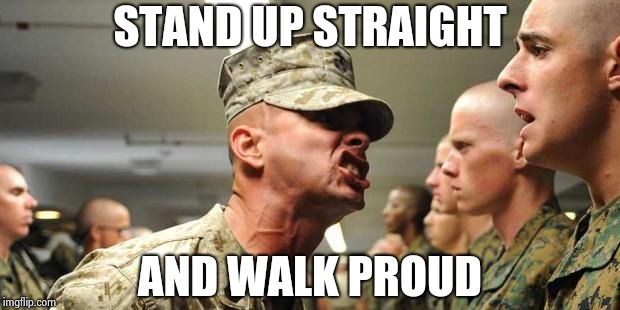 drill sargent | STAND UP STRAIGHT AND WALK PROUD | image tagged in drill sargent | made w/ Imgflip meme maker