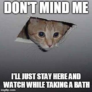 Ceiling Cat Meme | DON'T MIND ME; I'LL JUST STAY HERE AND WATCH WHILE TAKING A BATH | image tagged in memes,ceiling cat | made w/ Imgflip meme maker