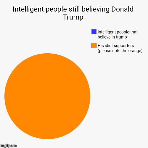 Intelligent people still believing Donald Trump | His idiot supporters (please note the orange), Intelligent people that believe in trump | image tagged in funny,pie charts | made w/ Imgflip chart maker