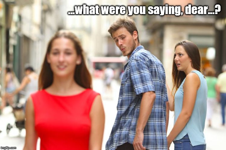 Distracted Boyfriend | ...what were you saying, dear...? | image tagged in memes,distracted boyfriend | made w/ Imgflip meme maker