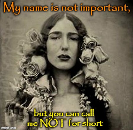 "What's in a Name?" ─William Shakespeare | My name is not important, but you can call me NOT for short | image tagged in vince vance,mexican girl,lady with roses in her hair,william shakespeare,romeo and juliet | made w/ Imgflip meme maker