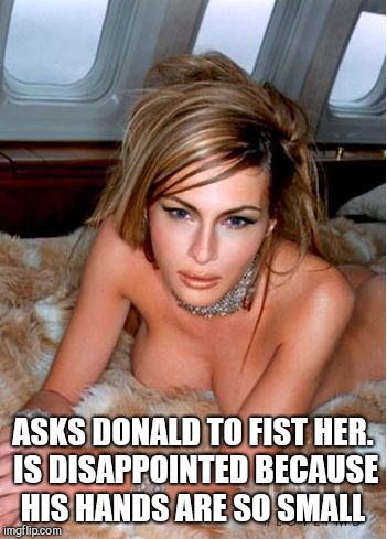Melania Trump | ASKS DONALD TO FIST HER. IS DISAPPOINTED BECAUSE HIS HANDS ARE SO SMALL | image tagged in melania trump | made w/ Imgflip meme maker